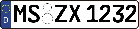 MS-ZX1232