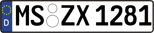 MS-ZX1281