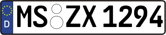 MS-ZX1294