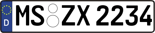 MS-ZX2234