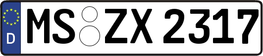MS-ZX2317