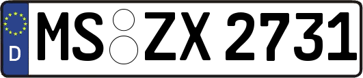 MS-ZX2731