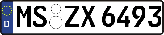 MS-ZX6493