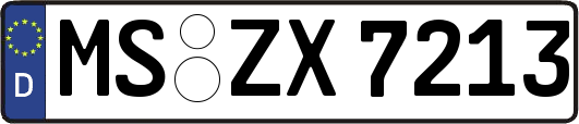 MS-ZX7213