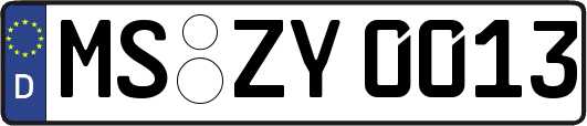 MS-ZY0013