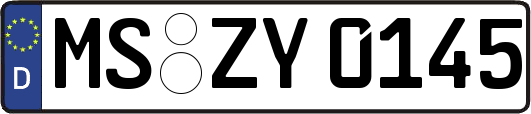 MS-ZY0145