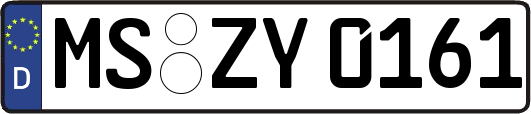 MS-ZY0161