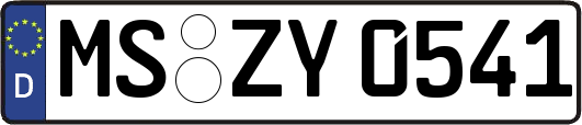 MS-ZY0541