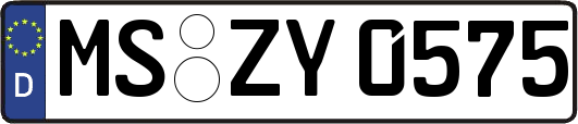 MS-ZY0575