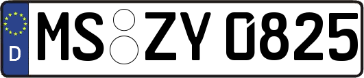 MS-ZY0825