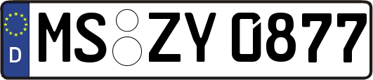 MS-ZY0877