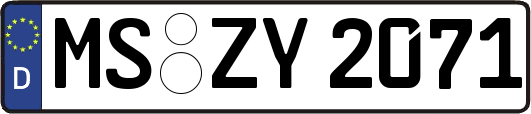MS-ZY2071