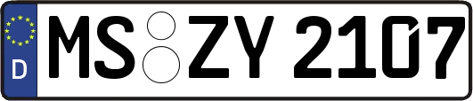 MS-ZY2107
