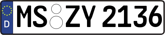 MS-ZY2136