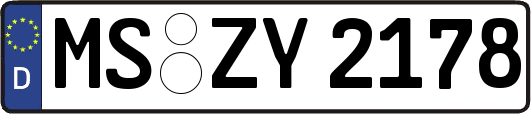 MS-ZY2178