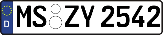 MS-ZY2542