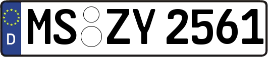MS-ZY2561