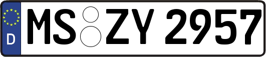 MS-ZY2957