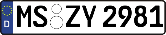 MS-ZY2981