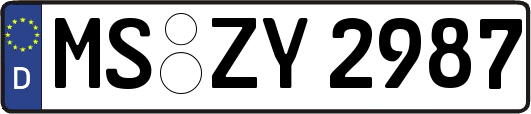 MS-ZY2987