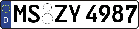 MS-ZY4987