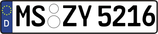 MS-ZY5216