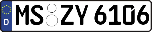 MS-ZY6106
