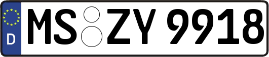 MS-ZY9918