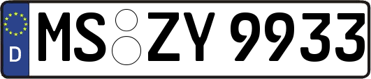 MS-ZY9933