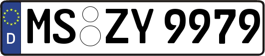 MS-ZY9979