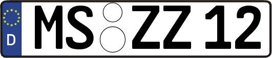 MS-ZZ12