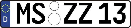 MS-ZZ13