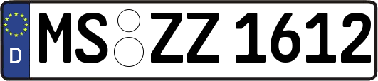 MS-ZZ1612
