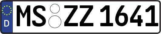 MS-ZZ1641