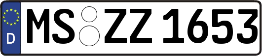 MS-ZZ1653