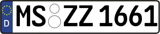 MS-ZZ1661
