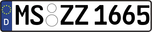 MS-ZZ1665