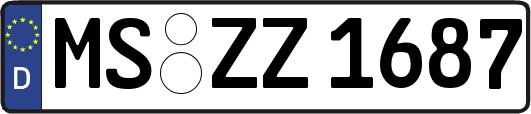MS-ZZ1687