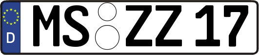 MS-ZZ17