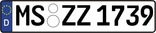MS-ZZ1739
