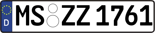 MS-ZZ1761