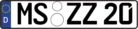 MS-ZZ20