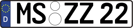 MS-ZZ22