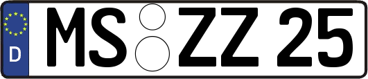 MS-ZZ25