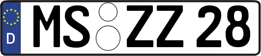 MS-ZZ28