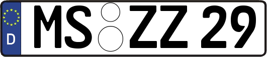 MS-ZZ29