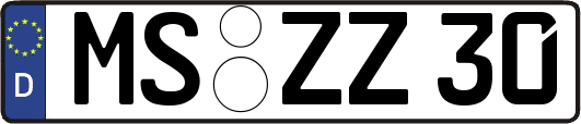 MS-ZZ30