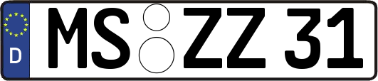 MS-ZZ31
