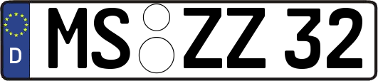 MS-ZZ32