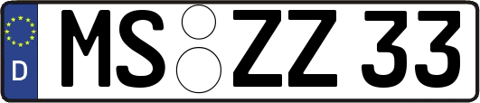 MS-ZZ33